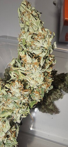 Growreport Bild 2