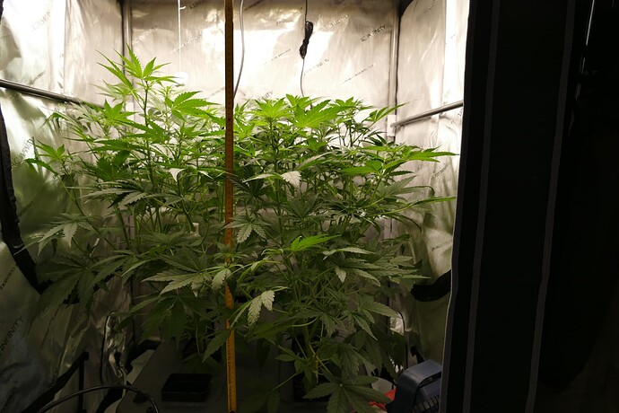 Growreport Bild 6