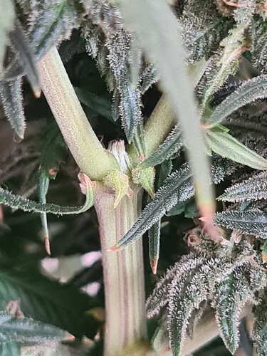 Growreport Bild 18