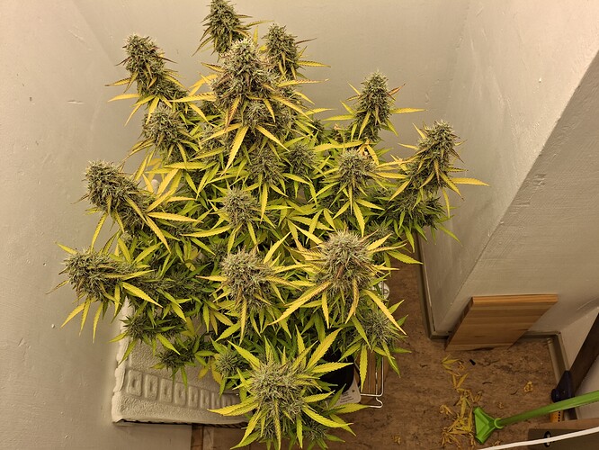 20241128_125147