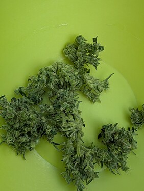 Growreport Bild 17