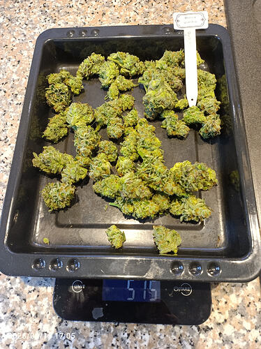 Growreport Bild 40