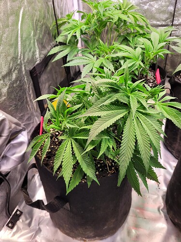 Growreport Bild 12