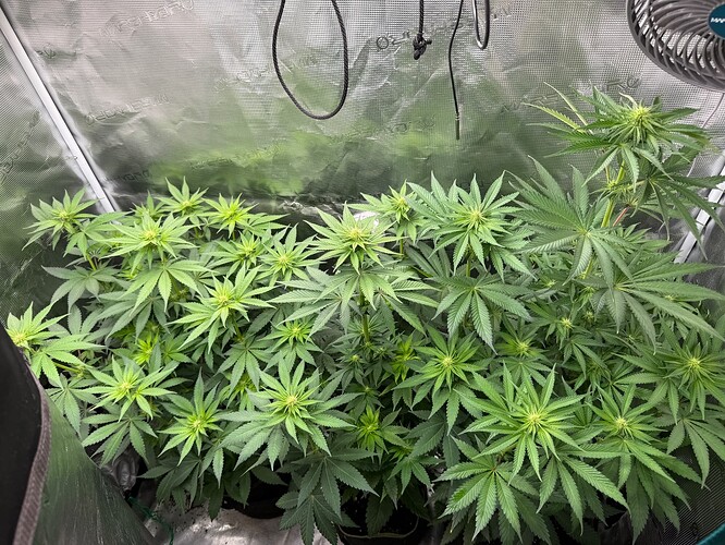 Growreport Bild 8