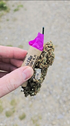 Growreport Bild 4