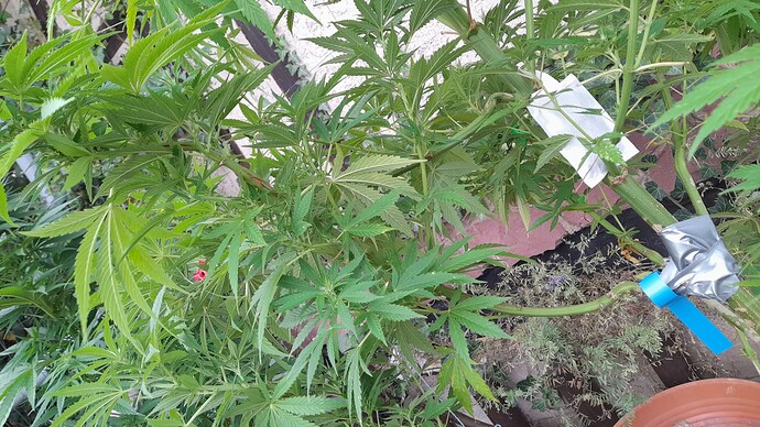Growreport Bild 12