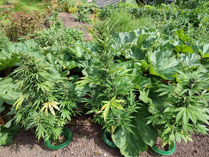 Growreport Bild 10