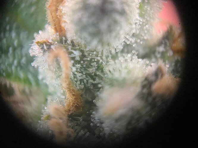 Growreport Bild 11