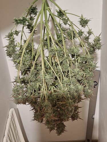 Growreport Bild 11