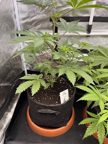 Growreport Bild 6