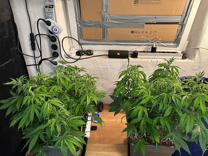 Growreport Bild 18