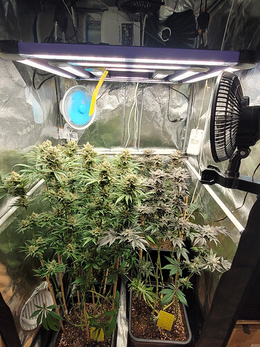 Growreport Bild 1
