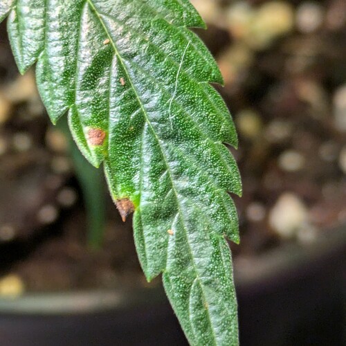 Growreport Bild 12
