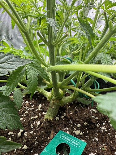 Growreport Bild 11