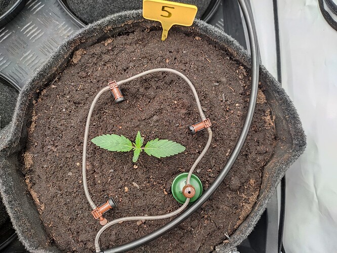 Growreport Bild 26
