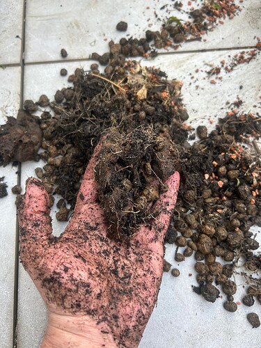 Growreport Bild 53