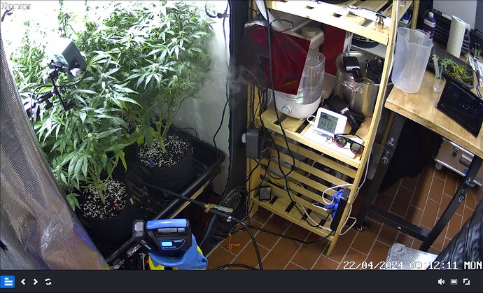 Growreport Bild 6
