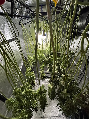 Growreport Bild 20