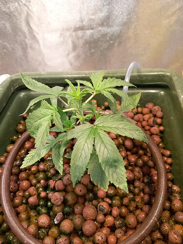 Growreport Bild 2