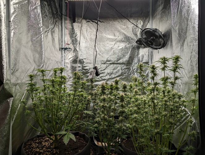Growreport Bild 7