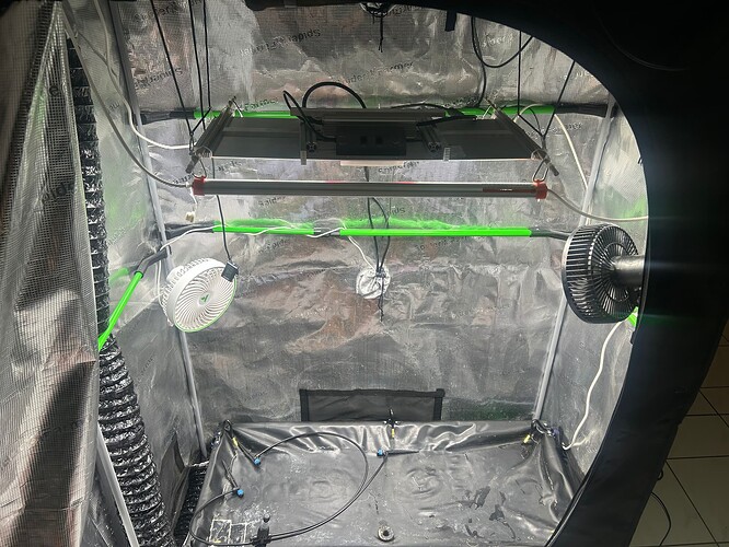 Growreport Bild 53