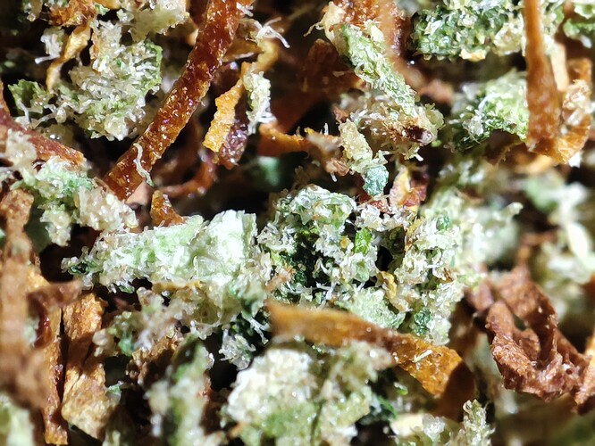 Growreport Bild 5