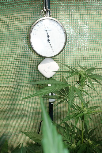 Growreport Bild 12