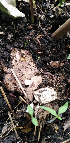 Growreport Bild 7