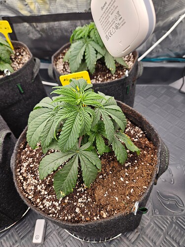 Growreport Bild 12