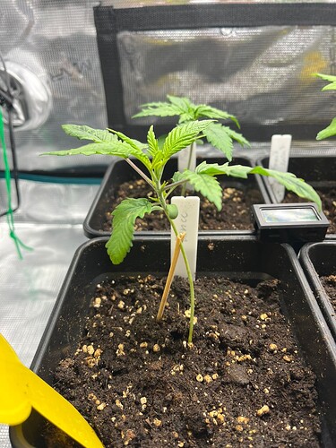 WhatsApp Image 2024-07-28 at 21.14.41 (1)