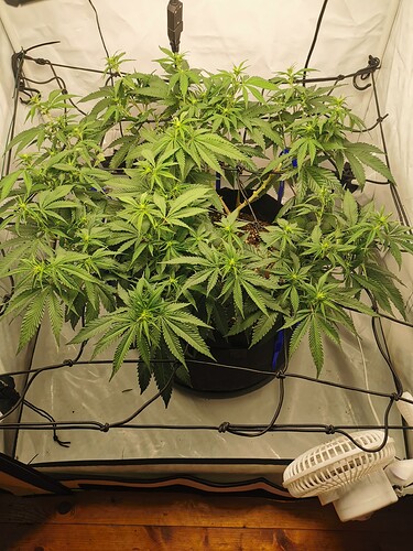 Growreport Bild 10