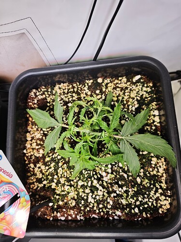 MVIMG_20250928_201744
