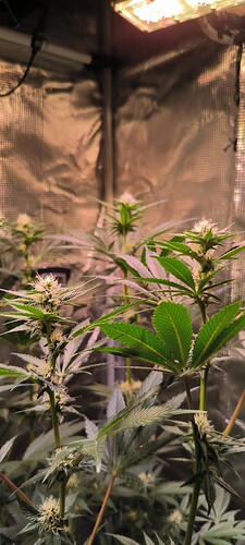 Growreport Bild 11