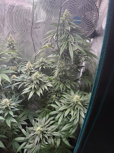 Growreport Bild 9