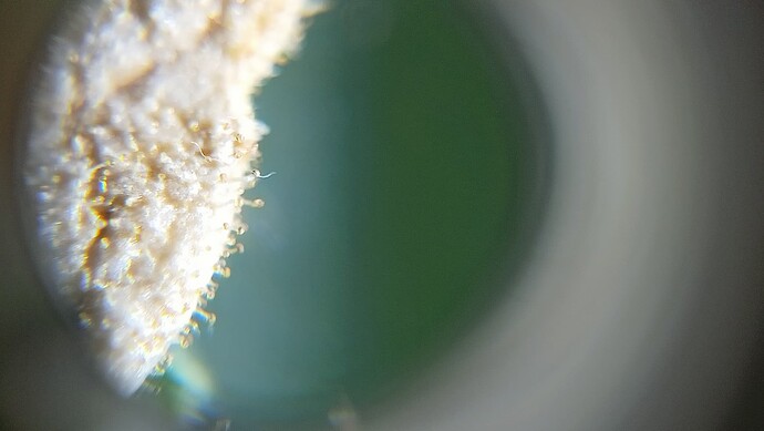 Growreport Bild 2