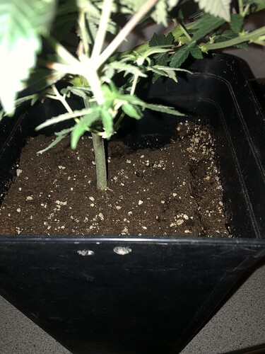Growreport Bild 16