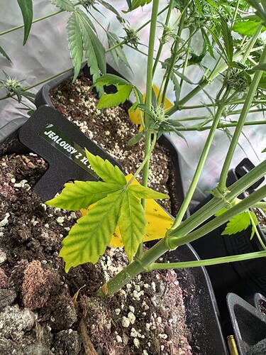 Growreport Bild 22