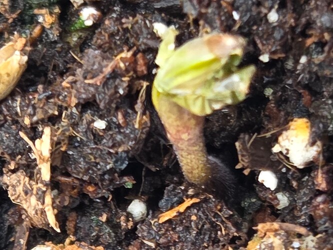 Growreport Bild 21