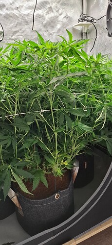 Growreport Bild 11