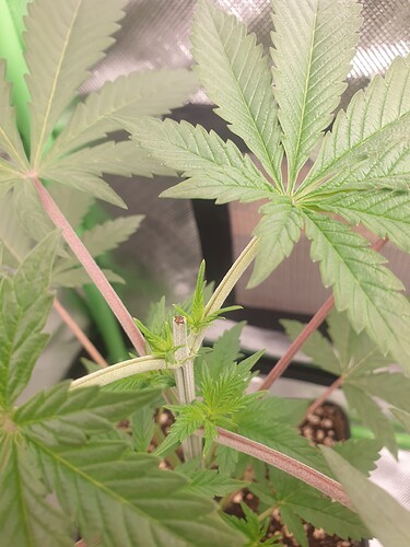Growreport Bild 4