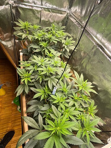 Growreport Bild 4