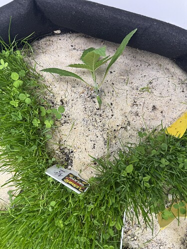 Growreport Bild 21