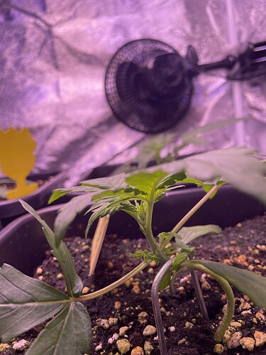 Growreport Bild 14