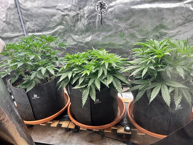 Growreport Bild 16