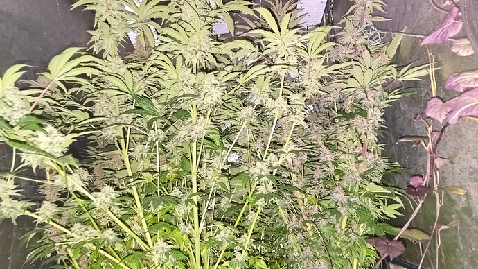 Growreport Bild 21