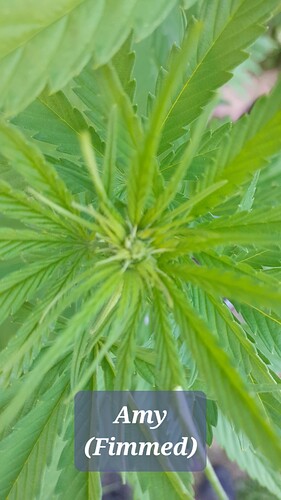 Growreport Bild 2