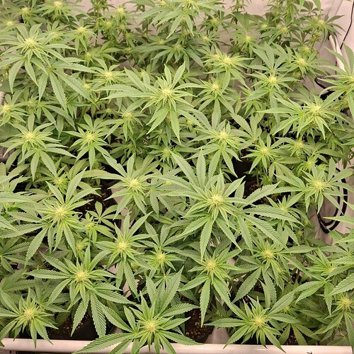 474516952_122164880942293599_2595715779621578952_n