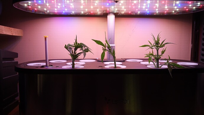 Growreport Bild 12