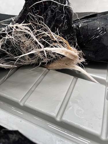 Growreport Bild 28