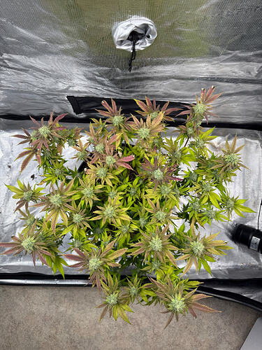 Growreport Bild 8